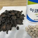 경희성수한약국 네이버블로그