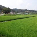 산인-6 이미지