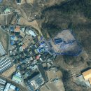 올리브부동산공인중개사사무소 이미지