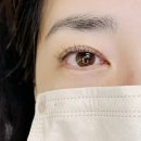 유럽미뷰티 | 매교동속눈썹 유럽미뷰티 속눈썹연장 만족 후기