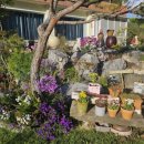 야생화정원펜션민박 이미지