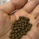 안심본한의원 이미지