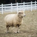 눈과 함께 이미지