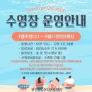 단풍나무 | 향로산자연휴양림 단풍나무방, 그 외 객실위치, 바베큐, 수영장, 산책로 상세후기