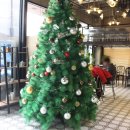 코너179(koner 179) 이미지