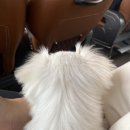노래꽃피는마을 이미지