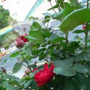 중2동-14 이미지