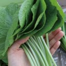 정가농장 이미지