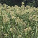 [5편] 2025년9월27일 토요일 서해랑길 35코스를 다녀와서! 이미지