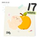 세솔길12 | [임신일기] 17주-19주: 임산부 KTX 특실/임산부 발레/쌍둥이 젠더리빌