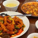 성도즉석두부 | 세종중국집 초향각, 간짜장 맛집으로 여긴 찐이야