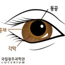 아이데코안경콘택트 이미지