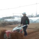 신영란 농장 이미지