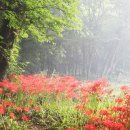 곰소농장 이미지