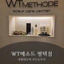 롯데하이마트(주) 평택지점 | [경기 평택] "WT메소드 평택점"에서 문제성 지루성두피 정밀 케어 받고 온 대만족 후기