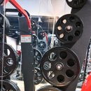 댓츠피티 이미지