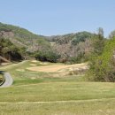 플레이어스 | 클럽디 더플레이어스CC / 잔디 정보 솔직후기, 근처 식당 추천