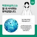 치유약국 | 방광염 증상 좋은 음식 약국 약 안먹고 3주만에 자연치료 치유한 후기
