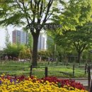 경서근린공원 이미지