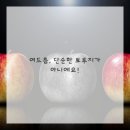 브이의원 이미지