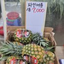 백년축산2 이미지