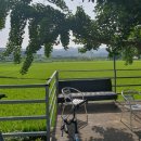 뻐꾸기카센타 이미지