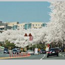 보문호수 이미지