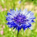 산림행정사사무소 이미지