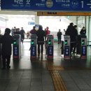 노량진수산시장 - 재래와 현대의 격돌