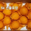 미나농장 이미지