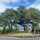 제주특별자치도청 이미지