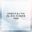 치과다운 치과의원 이미지