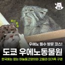 도쿄아루 | 도쿄 가볼만한곳 우에노동물원 할인방법 마눌들고양이 고릴라 가족