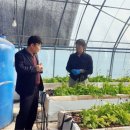 장흥농장 이미지