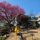 순천-60호 이미지