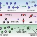 믿음정형외과의원 이미지