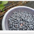 시항골농장 이미지