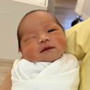 주식회사 남광 | 전참시 홍현희 제이쓴, 아기 똥별이, 신혼집 정보 총정리 + 상록타워, 광진하우스토리