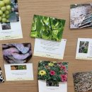 늘푸름마켓 이미지