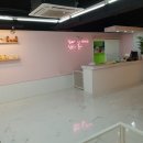 창성(애견) 이미지