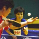 국제 중앙 체육관 이미지