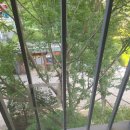 탑석센트럴자이아파트경로당 | 의정부 탑석센트럴자이 아파트 방충망 교체 🐱 고양이 때문에 찢어진 망, 고객님의 따뜻한 마음까지