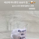 브리즈비츠 이미지