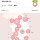 상은행정 | ​2026 벚꽃 개화시기 예상 &amp; 진해 군항제 일정과 경화역, 여좌천 로망스다리 미리보기 (ft. 작년 후기)