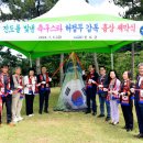 진도공설운동장 이미지