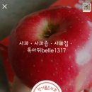 중도매인 7번 이미지