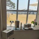 앙비떼 | 당진 애견동반 카페 앙비떼 : 사계절 내내 다녀온 후기