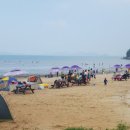 싱싱장구 이미지