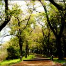 이호공원 이미지