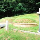 류사눌묘 이미지